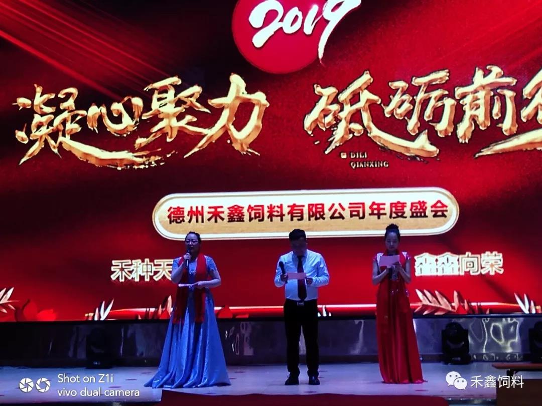 ���ľ��� �ƵZǰ��,���ݺ���2019�����ʢ��(hu�� )�A�M(m��n)�e��