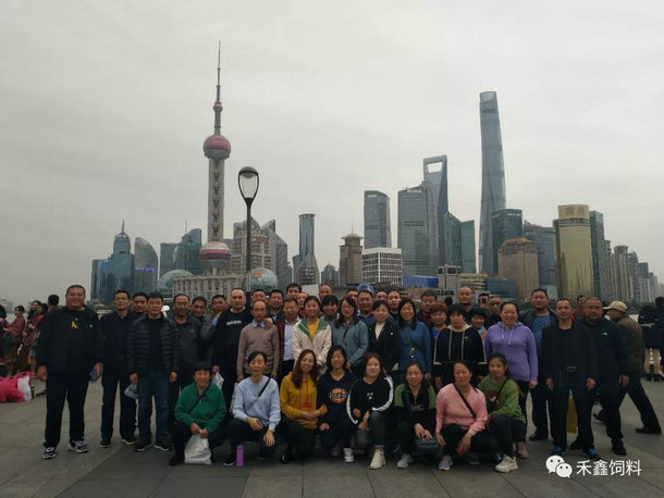 "���Ή�(m��ng)֮����g��(l�� )�A�|��"2019����A�|֮�ÈA�M(m��n)�Y��